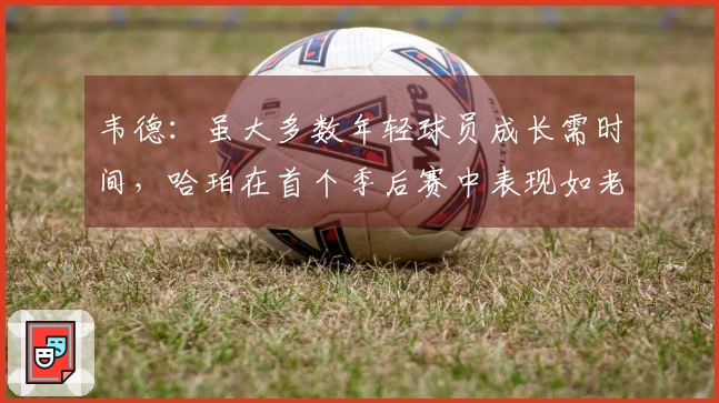 韦德：虽大多数年轻球员成长需时间，哈珀在首个季后赛中表现如老将