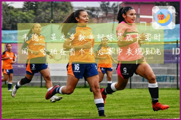 韦德：虽大多数年轻球员成长需时间，哈珀在首个季后赛中表现如老将